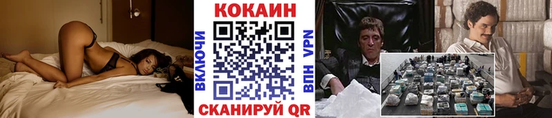 Cocaine FishScale  Купить закладки  Мончегорск 