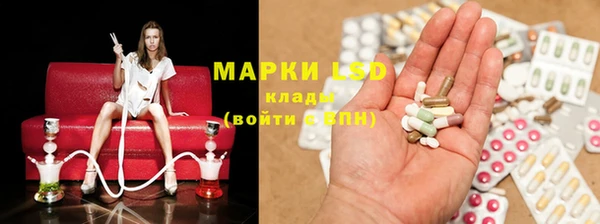 стаф Магадан