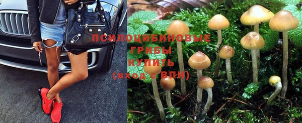 прущий лед Лихославль