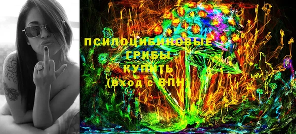 стаф Магадан