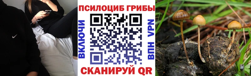 Купить где Мончегорск Псилоцибиновые грибы мухоморы